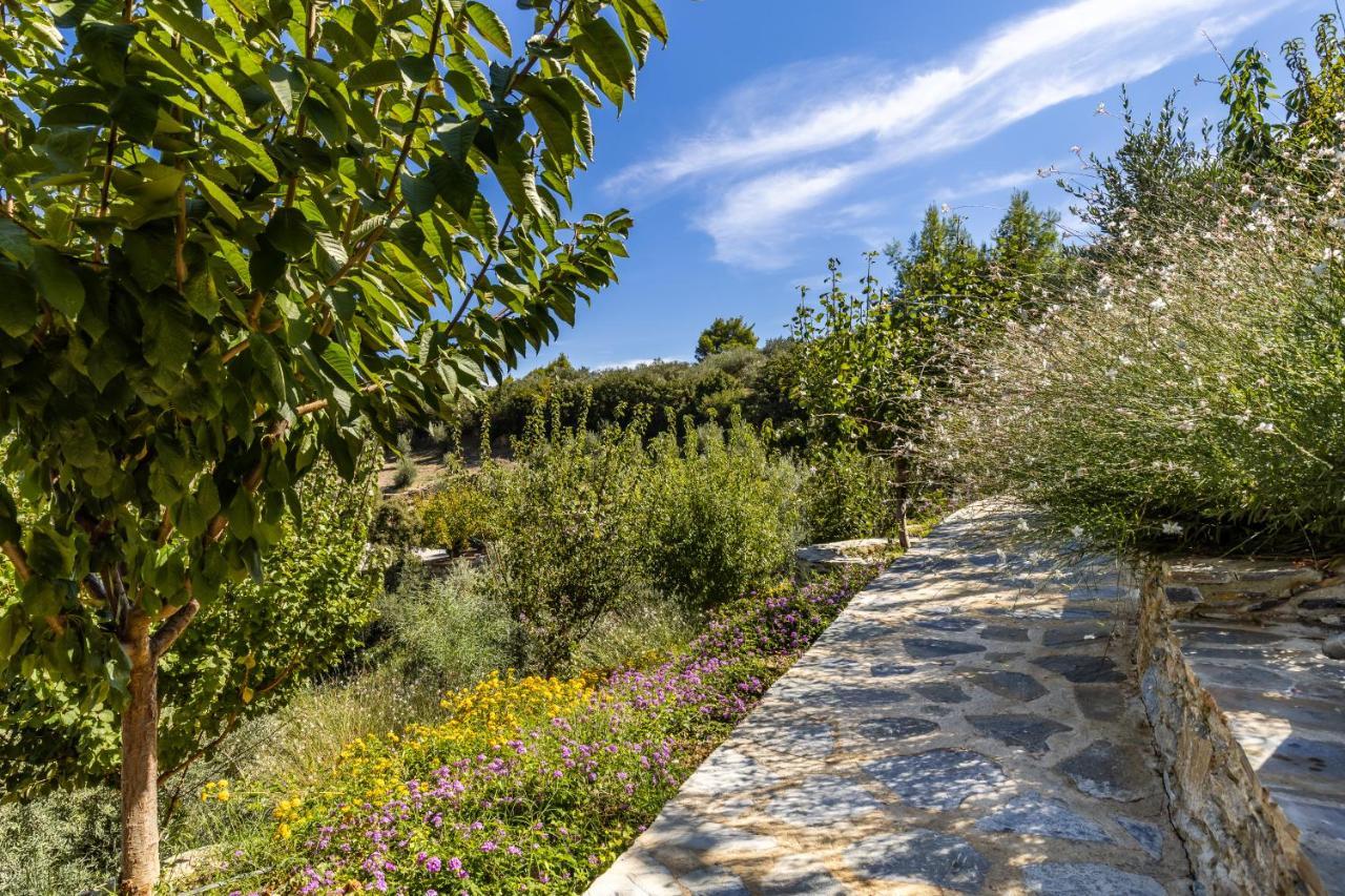 Villa Politimi Luxury Retreat Skopelos Eksteriør billede